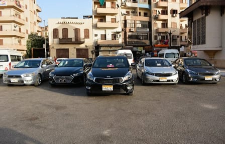 Private Transfer from Aswan to Luxor with Temple Stops