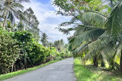 Private Day Trip to the Untouched Mekong – Go Cong