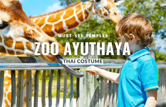 New Zoo in Ayuthaya Must See Temples and Thai Costume