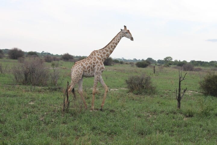 15 minutes scenic helicopter flight above Victoria Falls-Zimbabwe