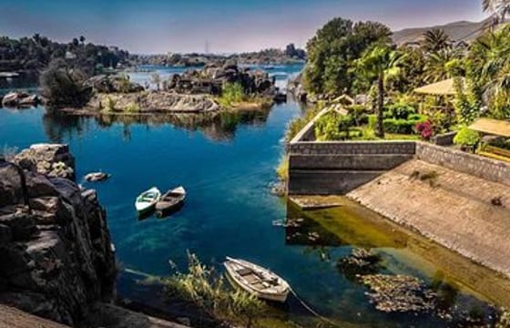 Aswan: The Iconic Botanical Garden & Felucca Ride on the Nile  Private Tour