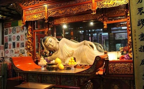 Private Full-Day Bus Tour of Shanghai with Tower Visit