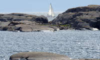 Boats, islands, wildlife and more is to ber found on this archipelago tour