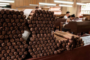 City and Wildlife Tour of Tarapoto with Chocolate Tasting