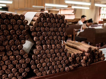 City and Wildlife Tour of Tarapoto with Chocolate Tasting