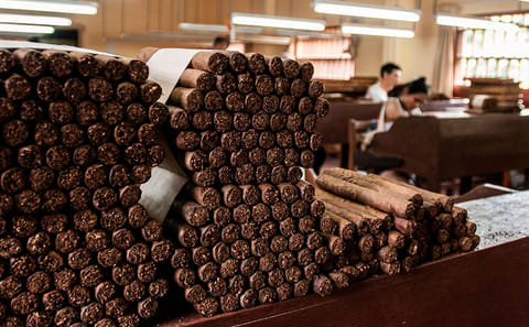 City and Wildlife Tour of Tarapoto with Chocolate Tasting