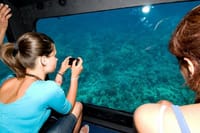 Panorama Semi Submarine And Snorkeling Sea Trip In Hurghada 8