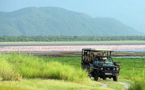 12 DAYS, 11 NIGHTS WONDERS OF KENYA AND TANZANIA BUDGET CAMPING SAFARI