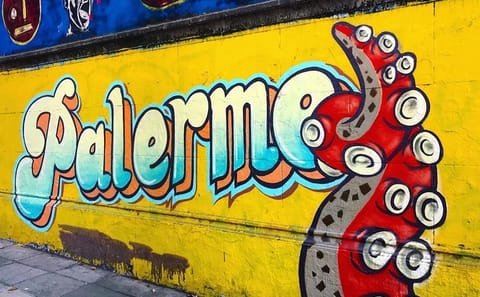 Walking Tour of Street Art in Palermo, Buenos Aires