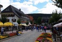 Full-Day Private Tour from Zurich to Lake Titisee Black Forest 1