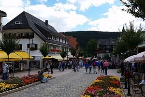 Full-Day Private Tour from Zurich to Lake Titisee Black Forest