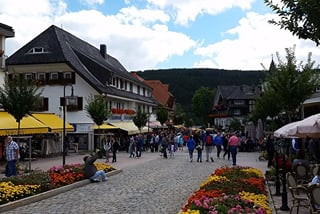 Full-Day Private Tour from Zurich to Lake Titisee Black Forest