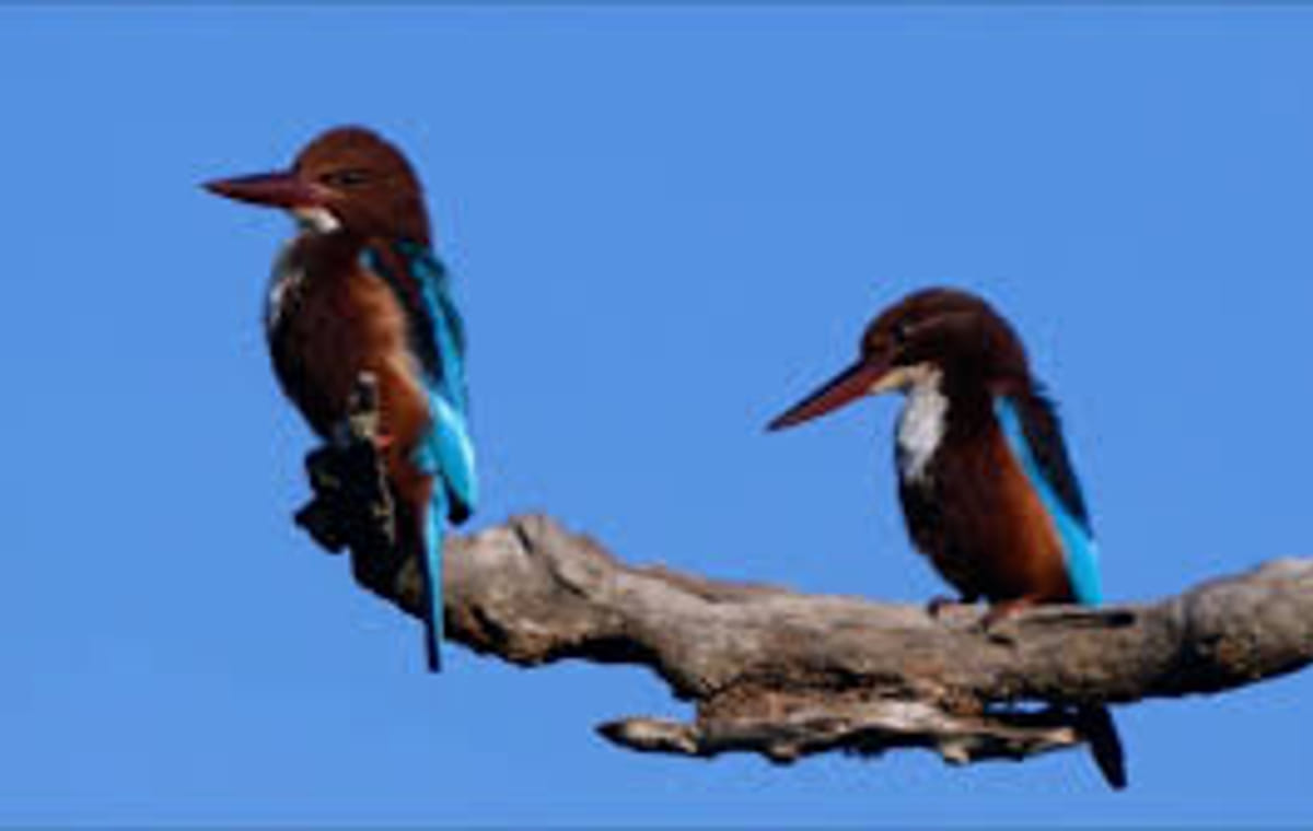 04 Day Tour From Galle ( Without Accommodation)