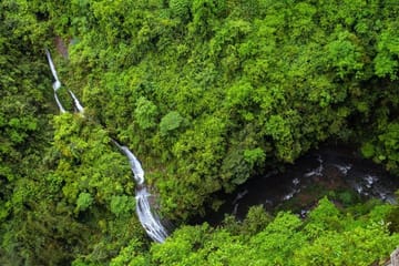 Wulong Karst National Park Day Tour from Chongqing
