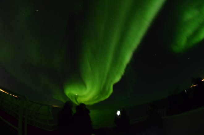 Reykjavík Northern Lights & City Cruise photo 6