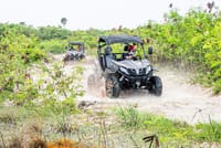 Rev &amp; Roar: Kick up dust on a thrilling buggy ride!