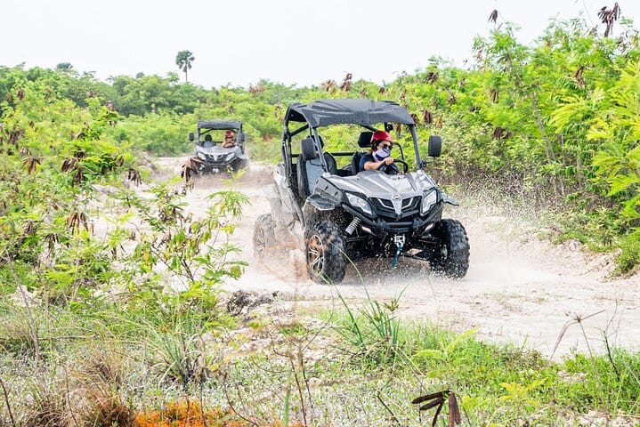 Rev &amp; Roar: Kick up dust on a thrilling buggy ride!