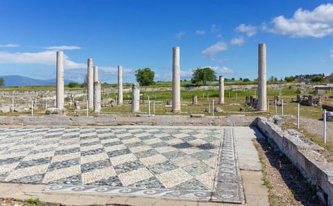 Private Historical Tour of Alexander the Great from Athens