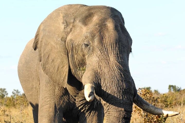 15 minutes scenic helicopter flight above Victoria Falls-Zimbabwe