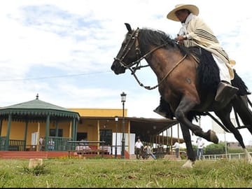 Peruvian Paso Horse and Marinera Dance Tour in Trujillo