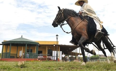 Peruvian Paso Horse and Marinera Dance Tour in Trujillo