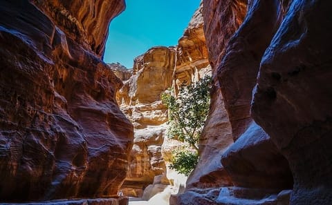 Private 2-Night Tour of Petra, Wadi Rum, and Aqaba from Amman