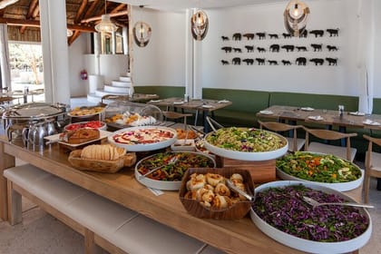 Aquila Reserve Safari with Lunch and Wine tasting