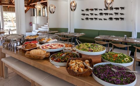Aquila Reserve Safari with Lunch and Wine Tasting in Cape Town