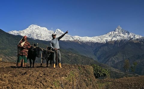 3-Day Dhampus to Sarangkot Hiking Tour in Nepal