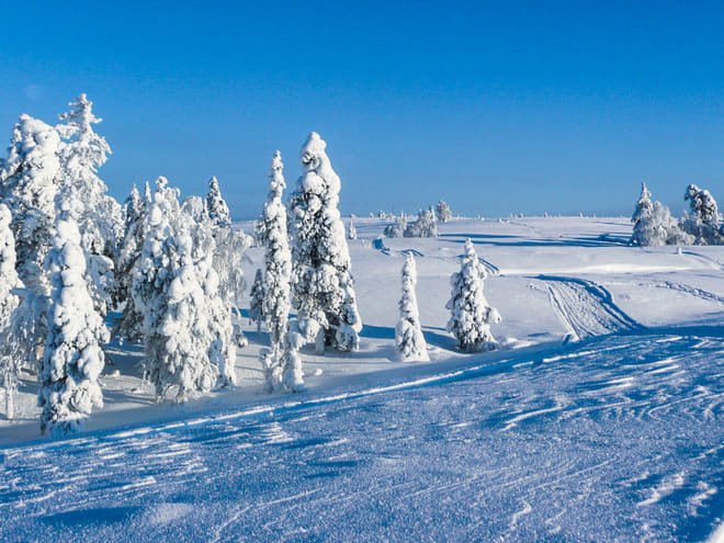 Snowmobile Safari in the Arctic Nature - Rovaniemi 9
