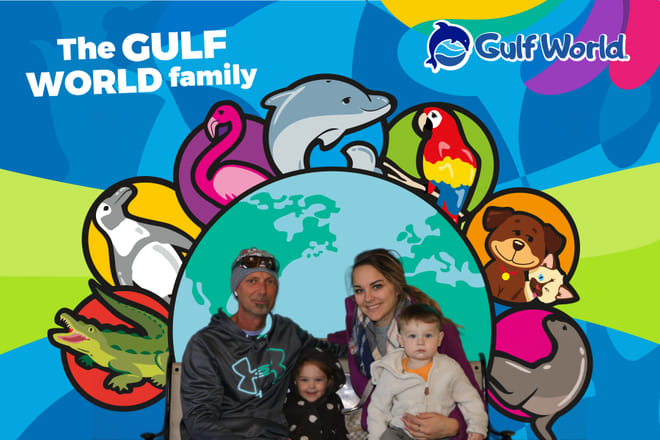 Dolphin Meet N Greet at Gulf World Marine Park photo 6