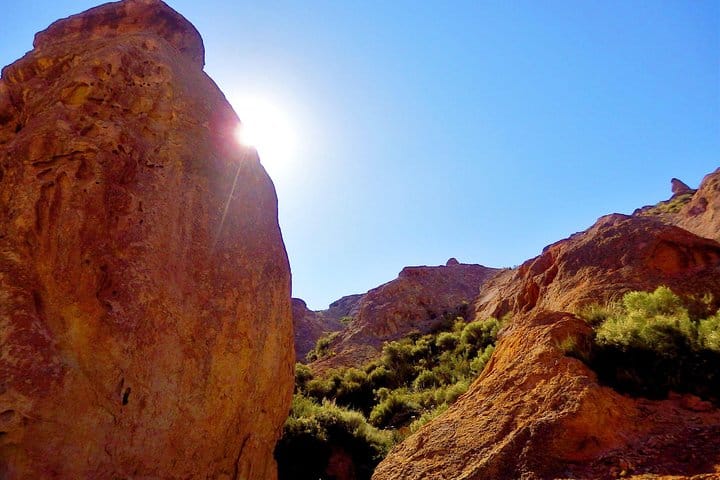 Enjoy the beauties of Mendoza