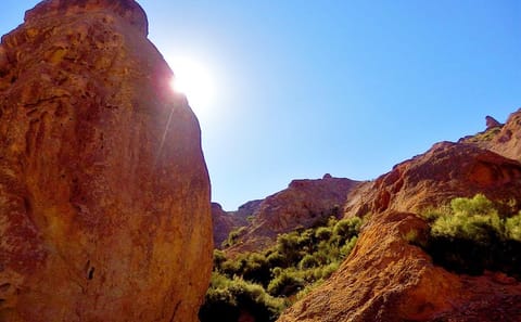 Cañon del Atuel Day Trip from Mendoza with Scenic Views