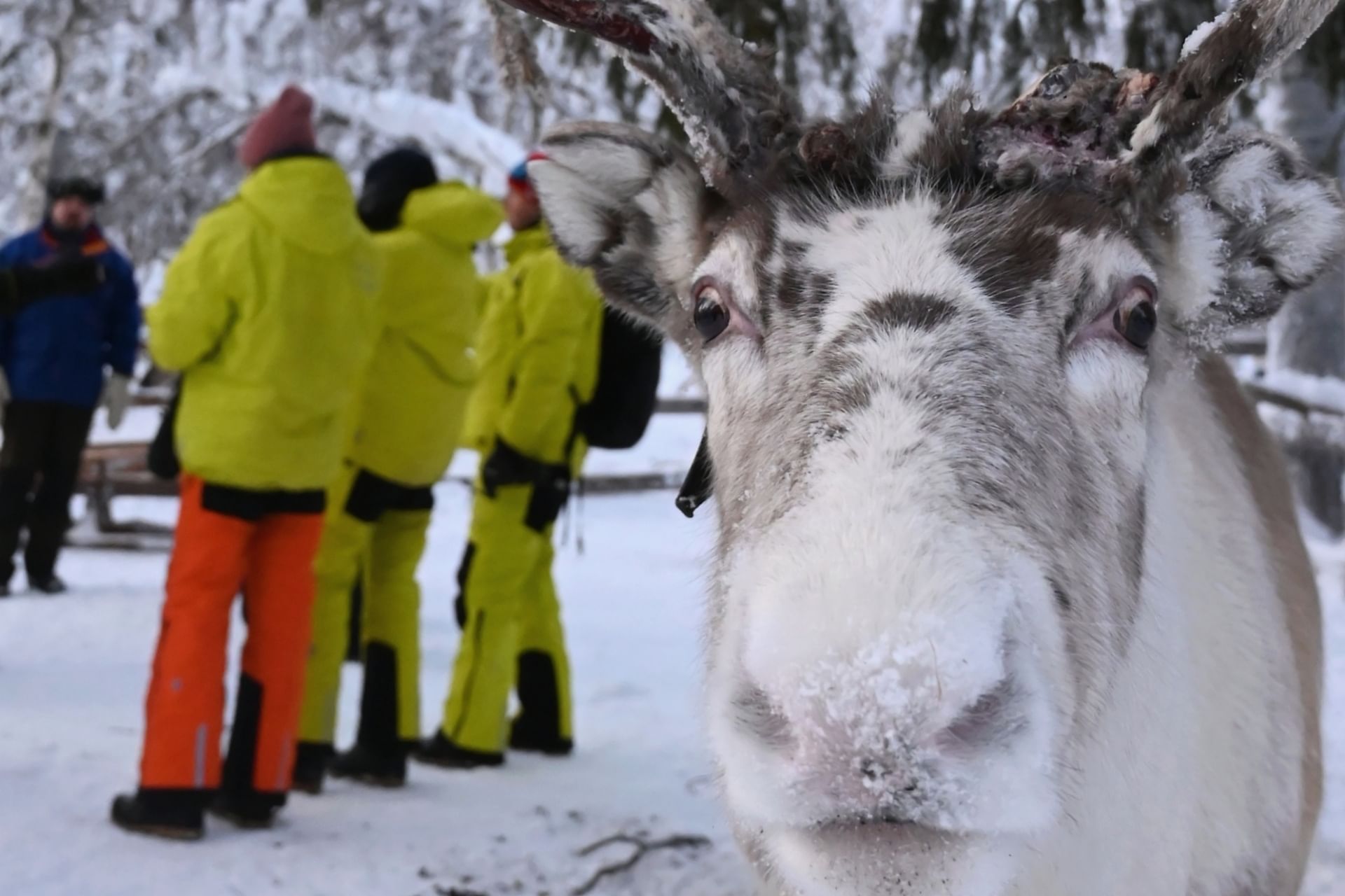 Tokka Safaris - Round the two fells