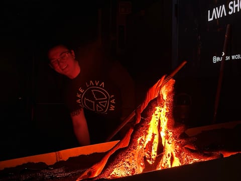 Lava Show Vík, photo 2