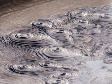 Auckland to Rotorua Geothermal Landscapes Tour