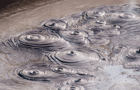 Auckland to Rotorua Geothermal Landscapes Tour