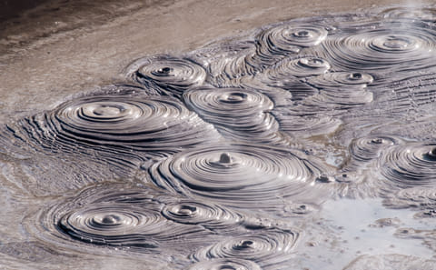 Auckland to Rotorua Geothermal Landscapes Tour