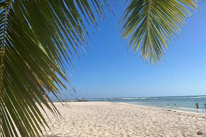 Saona Island and Chavon River Tour with Lunch and Drinks 5