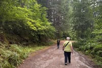 Fraser Canyon Day Tour Falls, Tunnels and Hell Gate 6