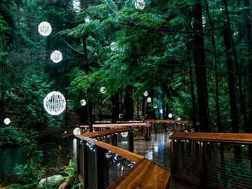 Capilano Canyon and Grouse Mountain Holiday Tour in Vancouver