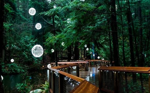 Capilano Canyon and Grouse Mountain Holiday Tour in Vancouver