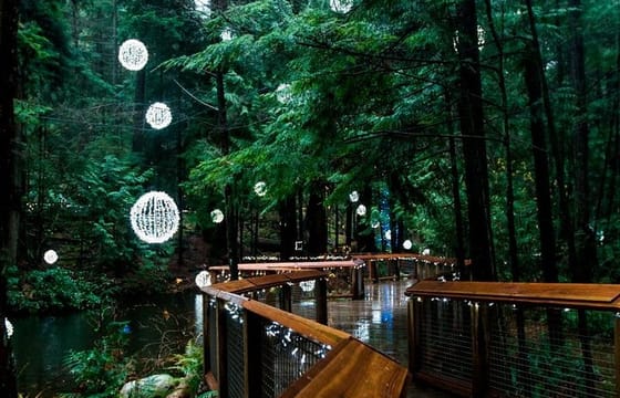 Vancouver Capilano Canyon light and peak of Christmas in Grouse mountain