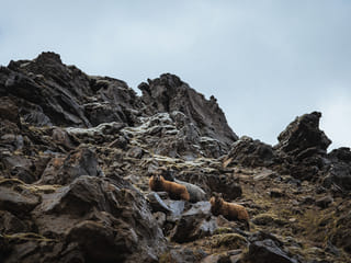 Secret Gems of Highlands & Landmannalaugar | Private Tour | Photo package included, photo 33