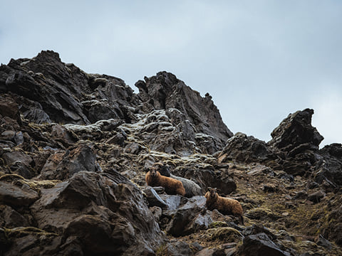Secret Gems of Highlands & Landmannalaugar | Private Tour | Photo package included, photo 33