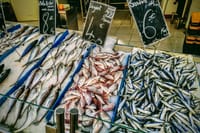 Fish market