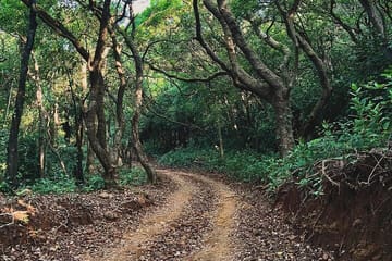 Wildlife and Beach Tour from Pune to Goa's Anjuna and Calangute