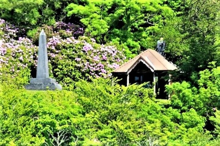 Lough Corrib History and Scenic Lake Cruise from Lisloughrey Pier Tour 4