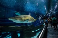 Aquario With Olympic Boulevard Rio de Janeiro 3
