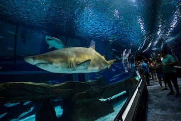 Aquario With Olympic Boulevard Rio de Janeiro